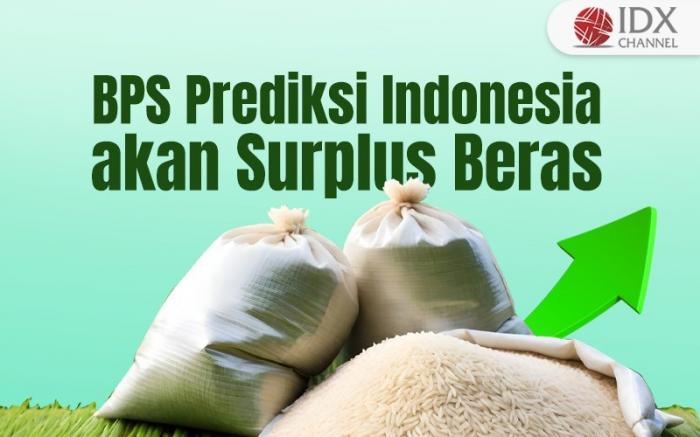 BPS Prediksi Indonesia akan Surplus Beras, Ini Tanggapan Pengamat (Foto : Tim Digital Marketing IDX Channel)