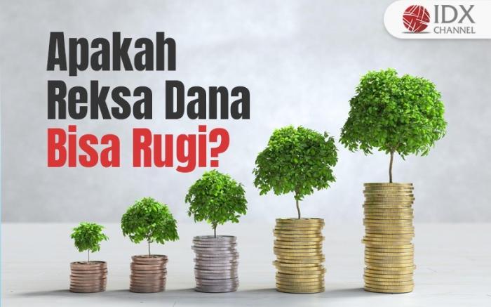 Investor, Apakah Reksa Dana Bisa Rugi? Begini Penjelasannya (Foto : Tim Digital Marketing IDX Channel)