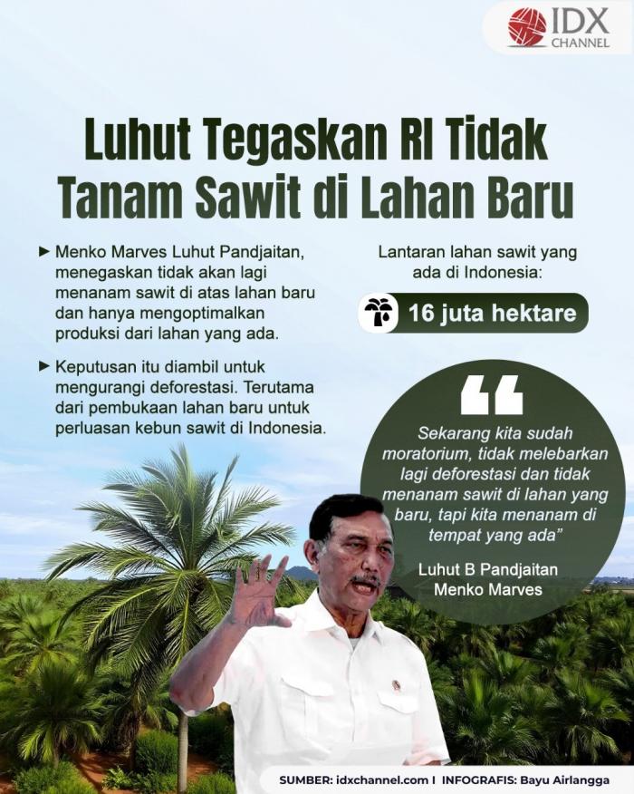 Luhut Tegaskan RI Tidak Tanam Sawit di Lahan Baru. Grafis: Bayu Airlangga