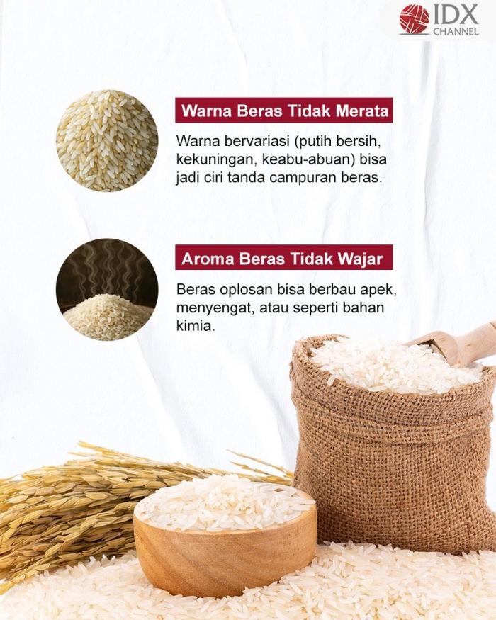 (Grafis: Bayu Airlangga)