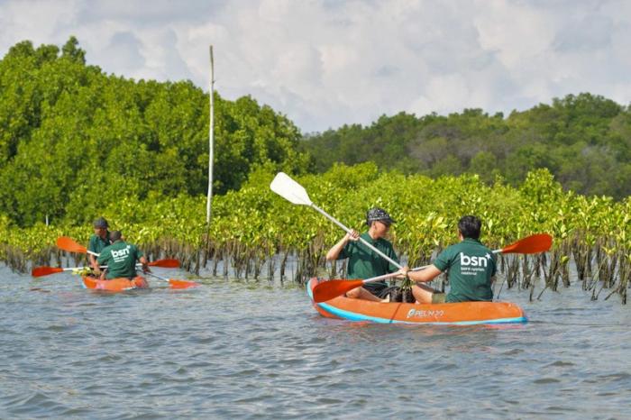 Bank BSN bersama Mahasiswa Peduli Lingkungan Pesisir melaksanakan kegiatan monitoring pertumbuhan mangrove di kawasan konservasi Eco Mangrove Segara Ayu