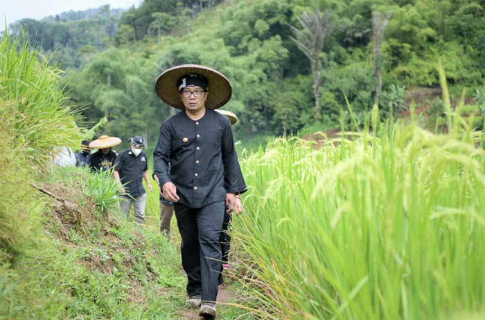 Gubernur Jawa Barat Ridwan Kamil saat mengunjungi Kampung adat Kasepuhan Ciptagelar di Desa Sinar Resmi, Cisolok, Kabupaten Sukabumi, Rabu (24/3/2021).