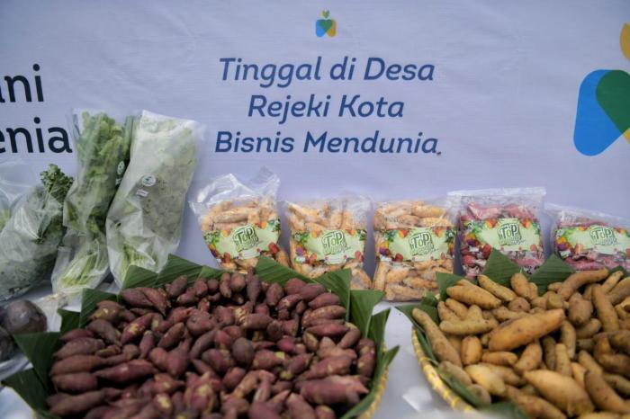 Hasil panen dipastikan akan dibeli oleh offtaker Agrojabar (Perseroda).