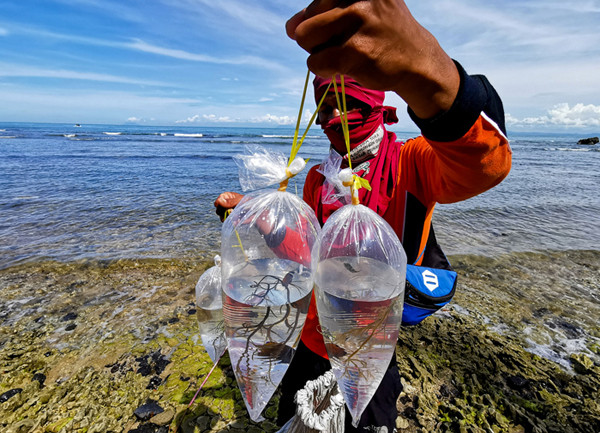 Warga menunjukan anak gurita untuk di jual kepada wisatawan atau kepasar di Pantai Anyer, Serang, Banten, Sabtu(27/3/2021).