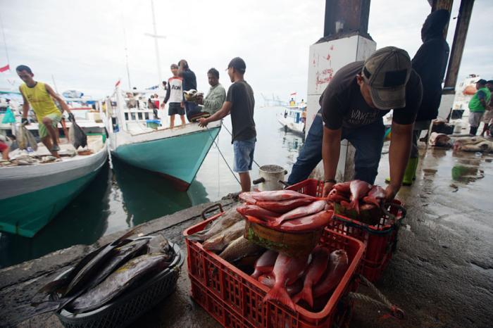Nelayan menurunkan ikan hasil tangkapan di Tempat Pelelangan Ikan Paotere, Makassar, Sulawesi Selatan, beberapa waktu lalu.