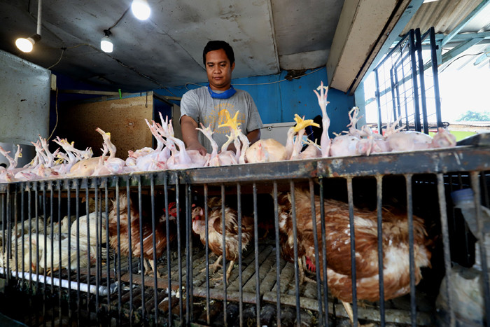 Pedagang daging ayam melayani pembeli di Pasar Kecapi, Kota Bekasi, Jawa Barat, Senin (12/4/2021).