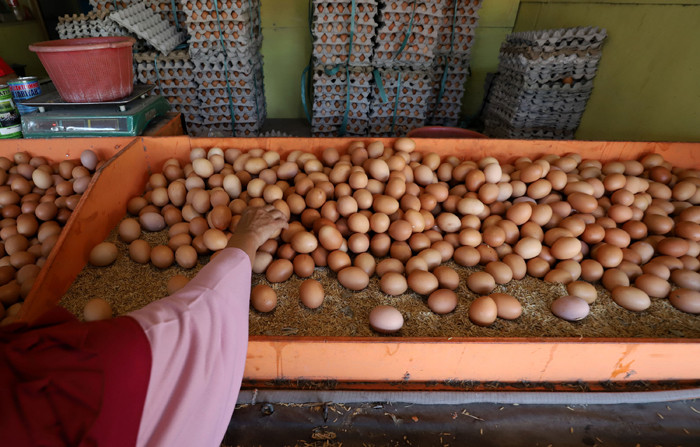 Pedagang menata telur ayam di kiosnya di Pasar Kecapi, Kota Bekasi, Jawa Barat, Senin (12/4/2021).