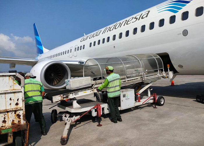 Petugas kargo memasukkan kontainer berisi empat orangutan ke dalam bagasi pesawat Garuda Indonesia di Bandara  Yogyakarta, Selasa (13/4/2021).