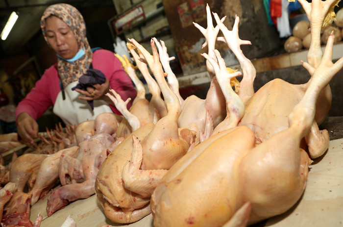 Pedagang daging ayam potong melayani pembeli di Pasar Wonokromo Surabaya, Jawa Timur, Selasa (20/4/2021).
