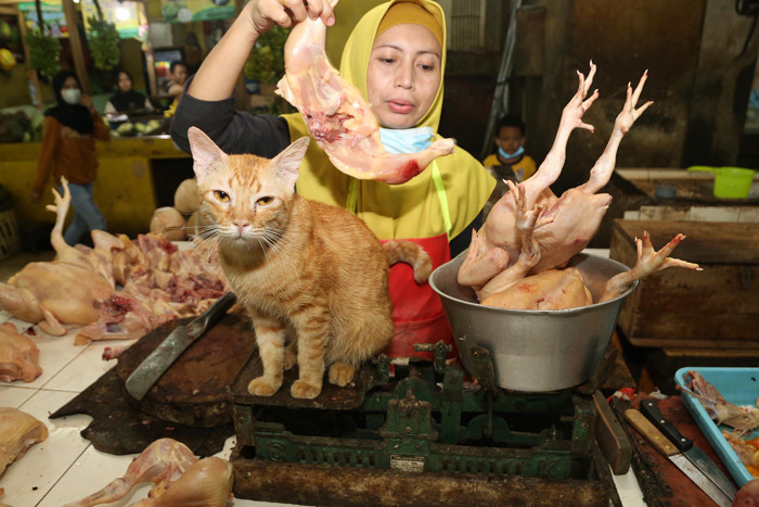 Pedagang daging ayam potong melayani pembeli di Pasar Wonokromo Surabaya, Jawa Timur, Selasa (20/4/2021).