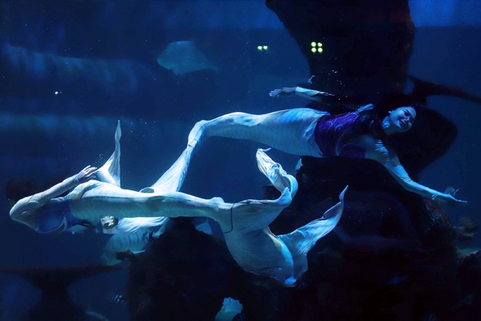Penyelam menyapa pengunjung di Jakarta Aquarium Safari (JAQS) di Jakarta, Selasa (21/4/2021).