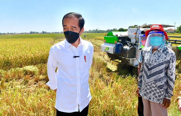 Presiden Joko Widodo meninjau aktivitas panen padi di kawasan pertanian yang berada di Kecamatan Bangodua, Kabupaten Indramayu, Jawa Barat, Rabu (21/4/2021).
