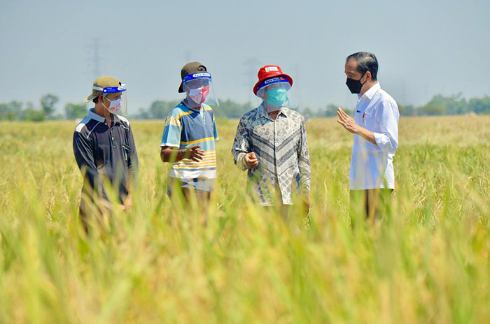 Presiden Joko Widodo meninjau aktivitas panen padi di kawasan pertanian yang berada di Kecamatan Bangodua, Kabupaten Indramayu, Jawa Barat, Rabu (21/4/2021).