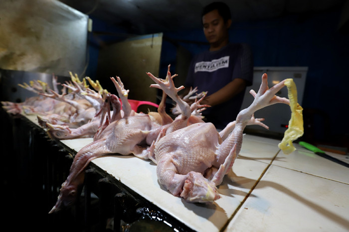 Pedagang merapikan ayam di Pasar Kecapi, Kota Bekasi, Jawa Barat, Sabtu (24/4/2021)