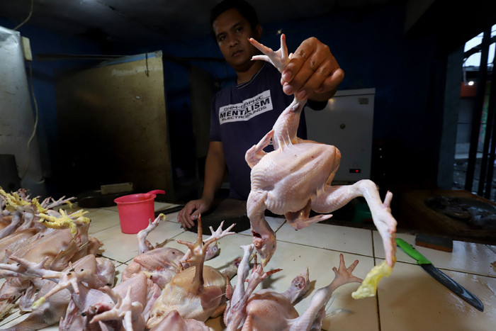 Pedagang merapikan ayam di Pasar Kecapi, Kota Bekasi, Jawa Barat, Sabtu (24/4/2021)