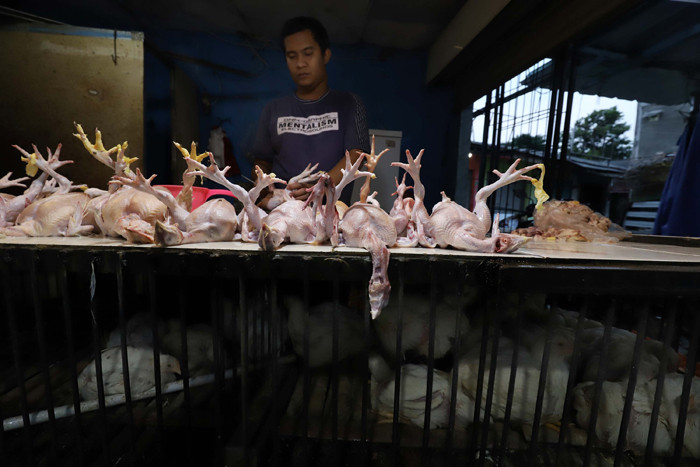 Pedagang merapikan ayam di Pasar Kecapi, Kota Bekasi, Jawa Barat, Sabtu (24/4/2021)
