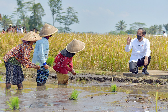 Presiden Joko Widodo melakukan peninjauan proses tanam dan panen padi di Desa Kanigoro, Kabupaten Malang, Jawa Timur, Kamis (29/4/2021).