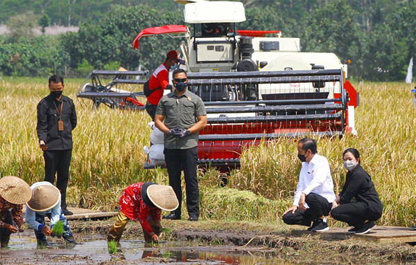 Presiden Joko Widodo melakukan peninjauan proses tanam dan panen padi di Desa Kanigoro, Kabupaten Malang, Jawa Timur, Kamis (29/4/2021).