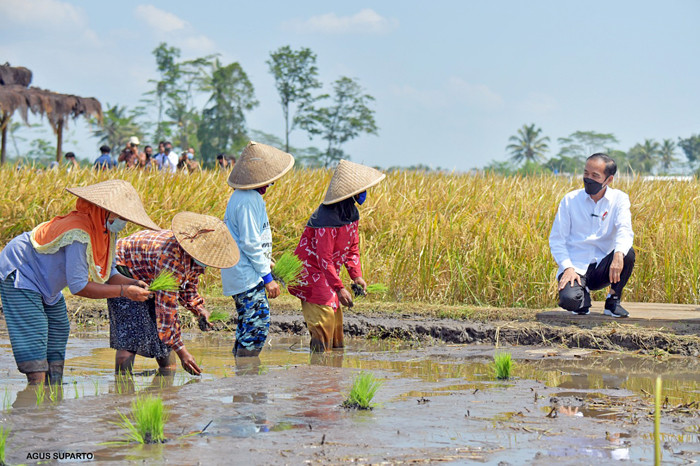 Presiden Joko Widodo melakukan peninjauan proses tanam dan panen padi di Desa Kanigoro, Kabupaten Malang, Jawa Timur, Kamis (29/4/2021).