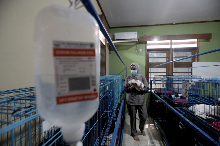 Petugas memeriksa kondisi hewan peliharaan yang dititipkan di Amore Animal Clinic, Pasar Minggu, Jakarta, Rabu (12/5/2021).