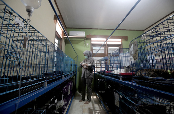 Petugas memeriksa kondisi hewan peliharaan yang dititipkan di Amore Animal Clinic, Pasar Minggu, Jakarta, Rabu (12/5/2021).