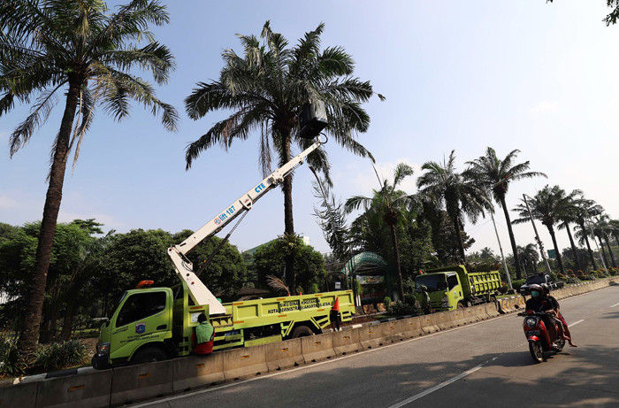 Petugas Suku Dinas Kehutanan Jakarta Selatan melakukan pemangkasan pohon di Jalan Harsono, Jakarta, Rabu (12/5/2021).