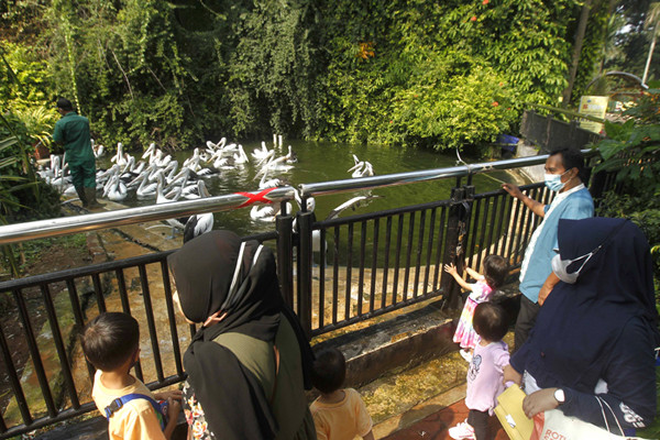 Sejumlah wisatawan menyaksikan Gajah sumatra (Elephas maximus sumatranus) di Taman Margasatwa Ragunan, Jakarta, Jumat (14/5/2021).
