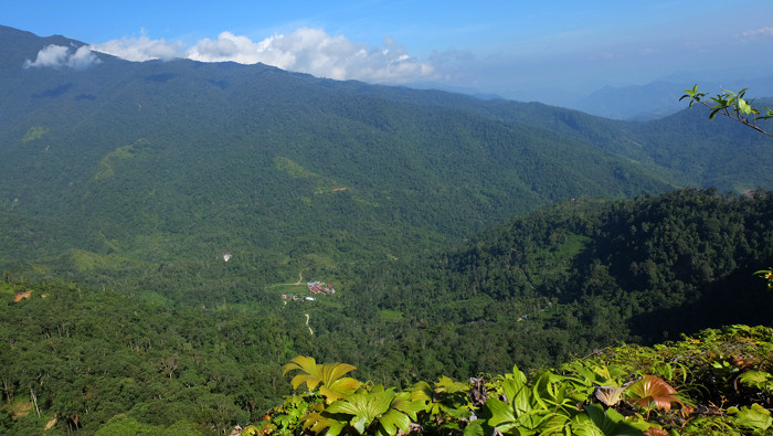 Suasana Kawasan Pertambangan Emas PT Masmindo Dwi Area di Kabupaten Luwu, Sulawesi Selatan, Rabu (26/5/2021).