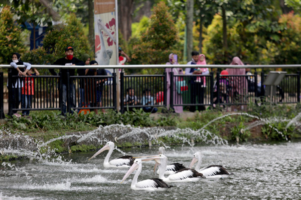 Pengunjung saat berwisata di Taman Margasatwa Ragunan, Jakarta, Rabu (26/5/2021).