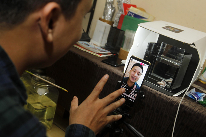 Owner Cupang Maniax Andy Pratama Siadari menunjukkan koleksi cupangnya di galeri Cupang Maniax, Pondok Cabe, Banten, Sabtu (29/5/2021).