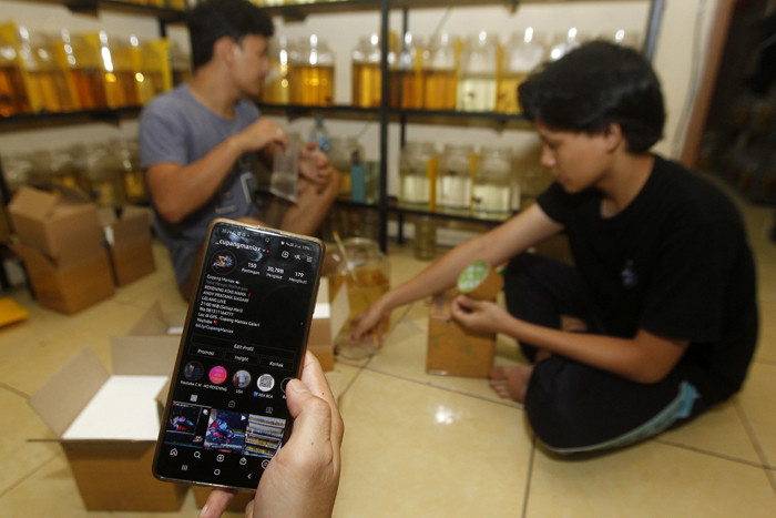 Owner Cupang Maniax Andy Pratama Siadari menunjukkan koleksi cupangnya di galeri Cupang Maniax, Pondok Cabe, Banten, Sabtu (29/5/2021).