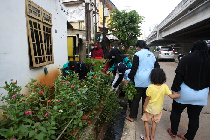 Tim Jumantik membersikan selokan dari tanaman liar agar tidak menjadi sarang nyamuk di Cipinang Melayu, Jakarta Timur, Jumat (4/6/2021).