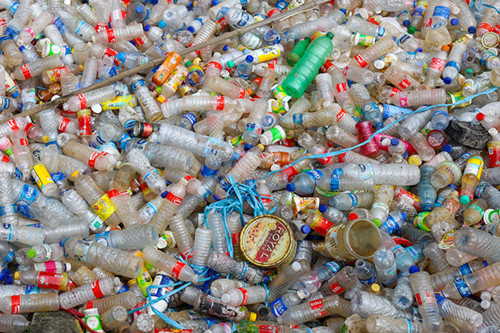 Petugas mengangkut sampah botol plastik dari kali Ciliwung, Jakarta Pusat, Kamis (10/6/2021).