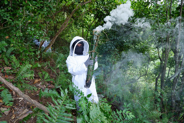 Meski sulit diakses, Dusun Cindakko memiliki potensi hasil alam yang menjanjikan, diantaranya madu hutan, kopi robusta dan arabika, serta gula aren.
