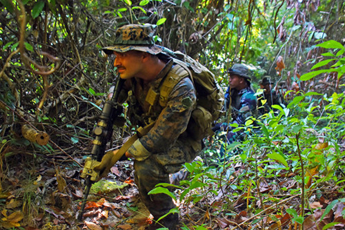 Latihan Jungle Patrol di Hutan Gunung Tumpang Pitu Lampon, Pesanggaran, Banyuwangi, Jawa Timur, Minggu (13/6/2021).
