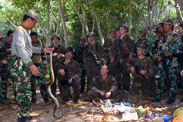 Latihan Jungle Patrol di Hutan Gunung Tumpang Pitu Lampon, Pesanggaran, Banyuwangi, Jawa Timur, Minggu (13/6/2021).