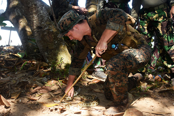 Latihan Jungle Patrol di Hutan Gunung Tumpang Pitu Lampon, Pesanggaran, Banyuwangi, Jawa Timur, Minggu (13/6/2021).