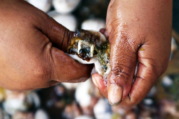 Perajin mengolah ikan terung laut untuk dijadikan kerupuk terung di Pesisir Kenjeran Surabaya, Jawa Timur, Selasa (15/6/2021).