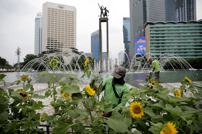 Petugas Dinas Pertamanan dan Hutan Kota DKI Jakarta merawat bunga matahari yang mempercantik kawasan Bundaran HI, Jakarta Pusat, Jumat (18/6/2021).
