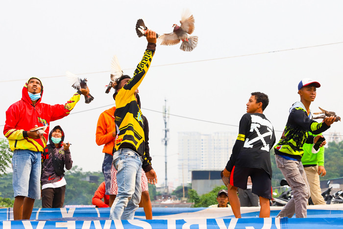 Ekspresi para Penghobi burung merpati saat sedang melatih burung di Jakarta Barat, Minggu (27/6/2021).