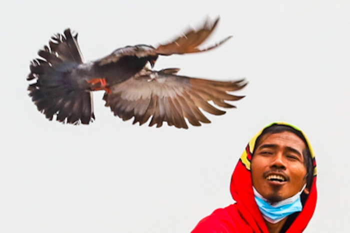 Ekspresi para Penghobi burung merpati saat sedang melatih burung di Jakarta Barat, Minggu (27/6/2021).