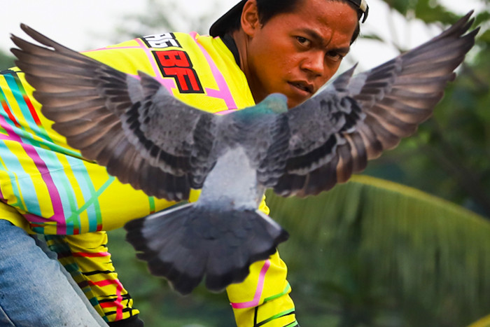 Ekspresi para Penghobi burung merpati saat sedang melatih burung di Jakarta Barat, Minggu (27/6/2021).