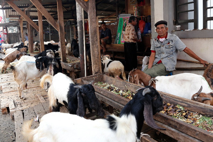 Pedagang hewan kurban menununggu pembeli di Pasar Kambing, Tanah Abang, Jakarta Pusat, Rabu (7/7/2021).