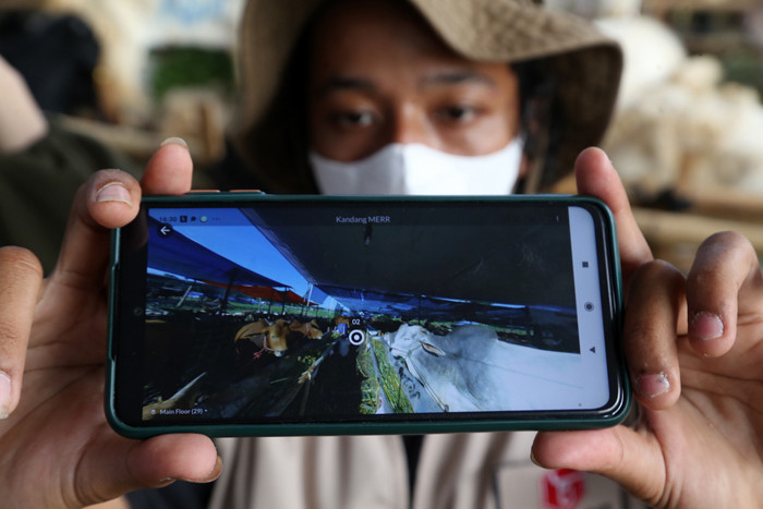 Calon pembeli mencoba pengalaman belanja hewan Kurban menggunakan teknologi Virtual Reality di kandang Ternaknesia Merr Surabaya, Jawa Timur, Kamis (15/7/2021).