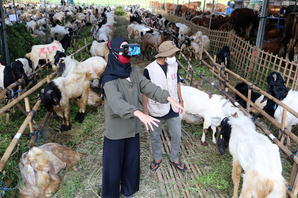 Calon pembeli mencoba pengalaman belanja hewan Kurban menggunakan teknologi Virtual Reality di kandang Ternaknesia Merr Surabaya, Jawa Timur, Kamis (15/7/2021).