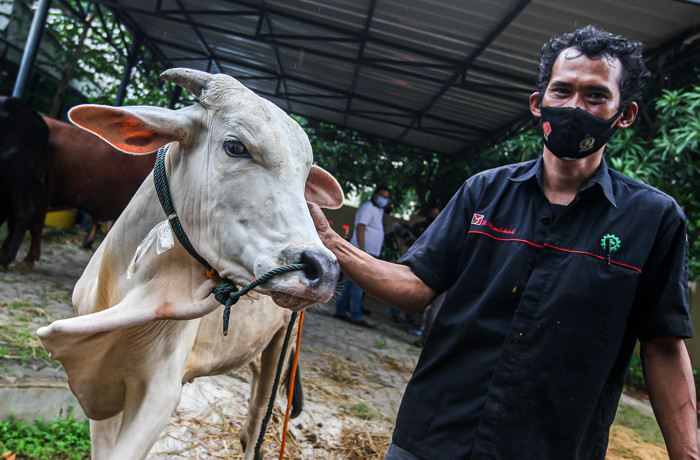 Direktur Litigasi MNC Group Gabriel Mahjudin memberikan satu ekor sapi kepada Kompol Bambang Edi Haryanto di Jakarta, Senin (19/7/2021).
