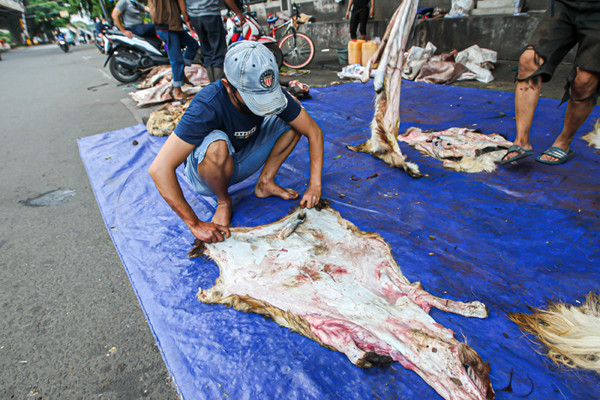 Pengepul saat menyortir kulit kambing yang dibawa warga di kawasan Tanah Abang, Jakarta Pusat, Selasa (20/7/2021).