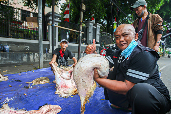Pengepul saat menyortir kulit kambing yang dibawa warga di kawasan Tanah Abang, Jakarta Pusat, Selasa (20/7/2021).