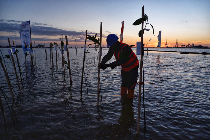 Penanaman bibit mangrove di area Makassar New Port (MNP),  Makassar, Sulawesi Selatan, Senin (16/8/2021).