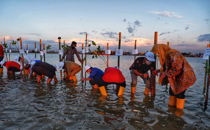 Penanaman bibit mangrove di area Makassar New Port (MNP),  Makassar, Sulawesi Selatan, Senin (16/8/2021).